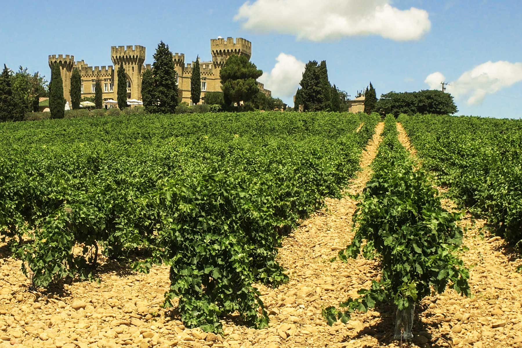 wine tours to champagne