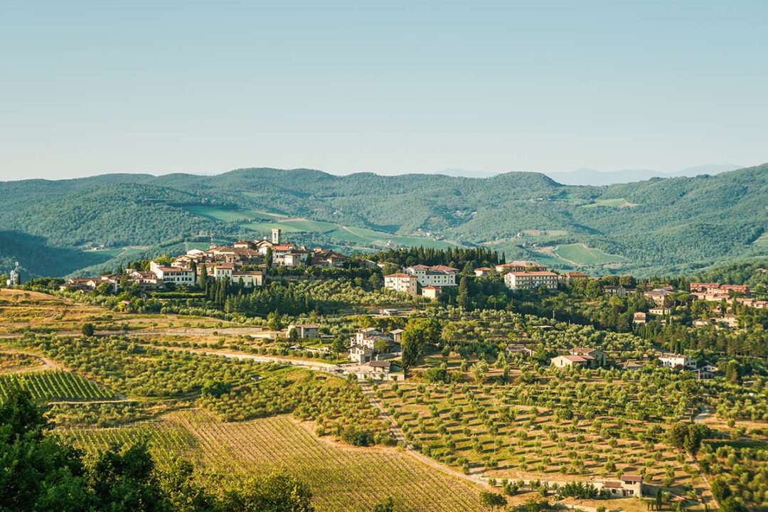 Tuscany Wine Tours | Fine Vintage