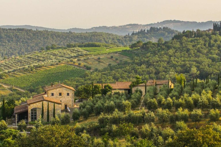 Tuscany Wine Tours | Fine Vintage