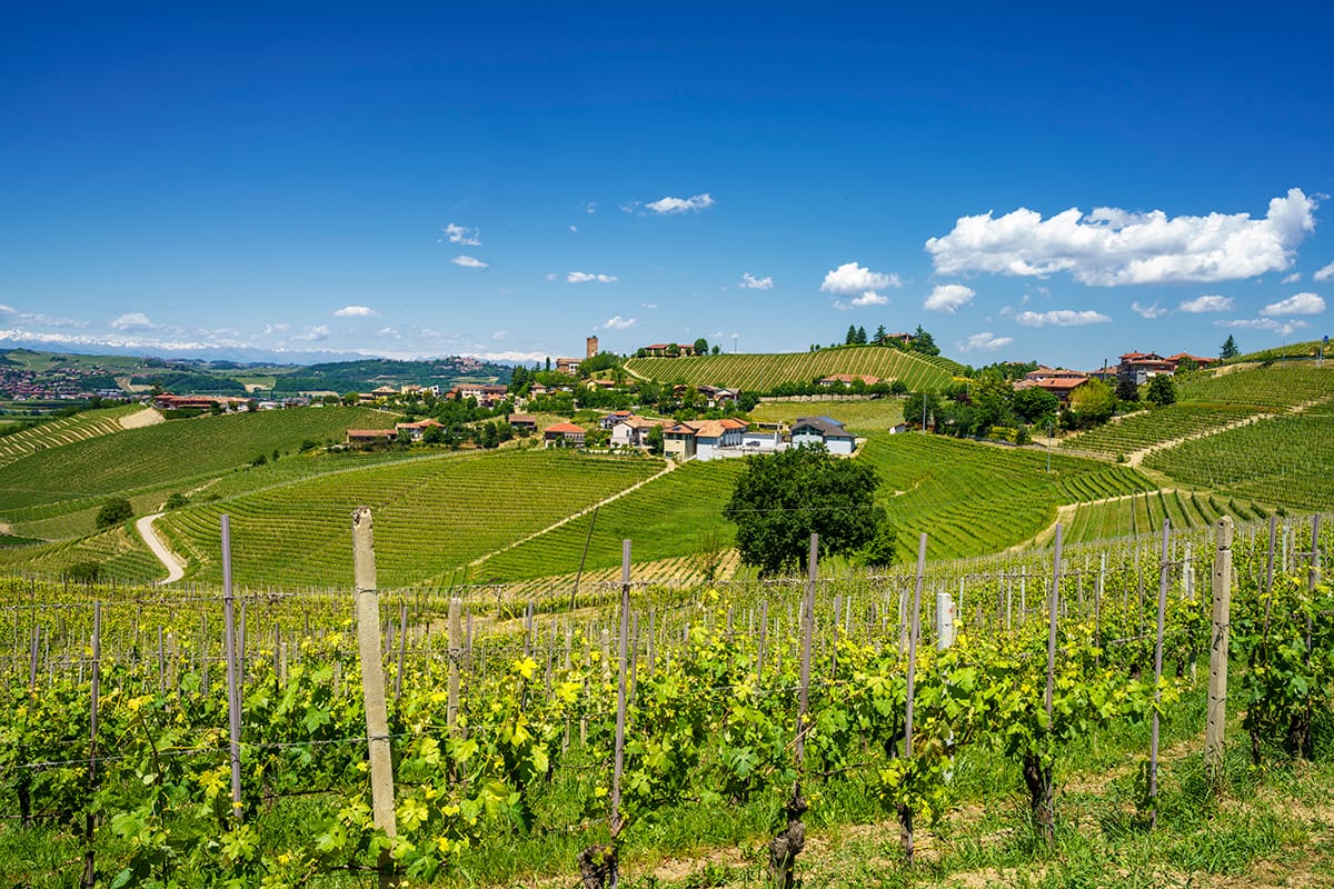 piedmont food and wine tours