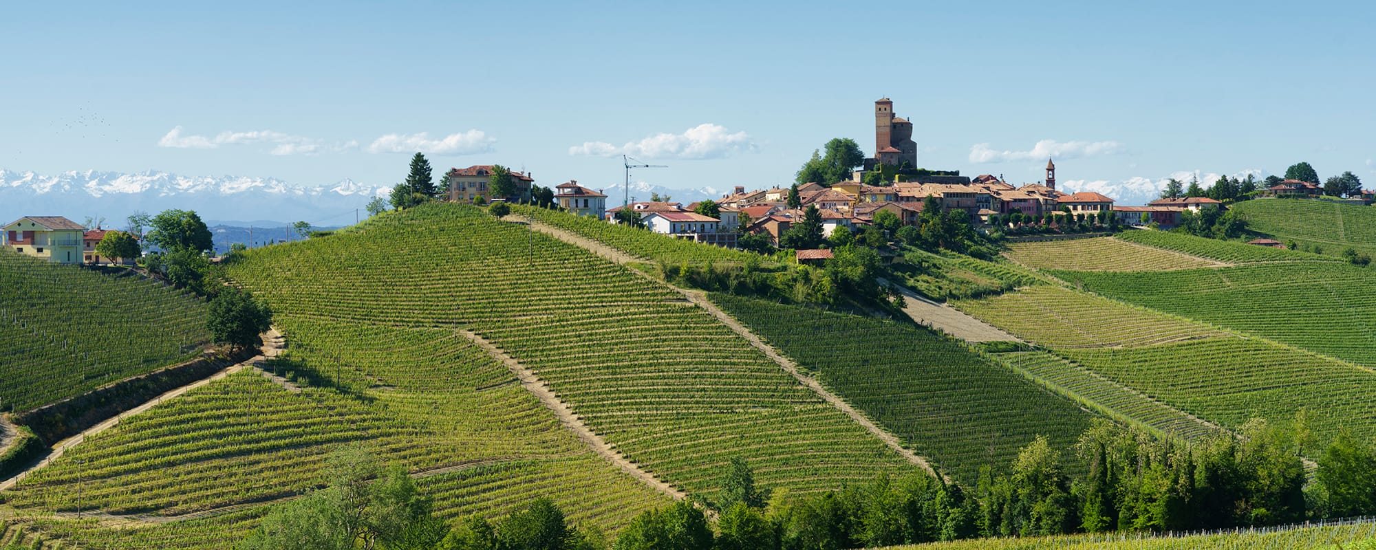 piedmont food and wine tours